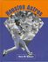Houston Astros by Chris W. Sehnert (1997)
