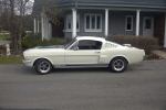bobsfastback