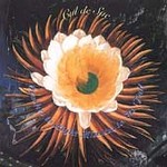 Do You Want Kilts With That? * by Lalla Rookh (CD, Jun-2004, Hapi Skratch Records)