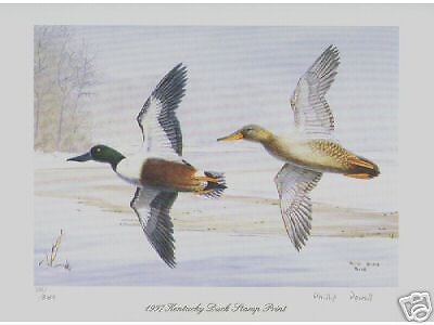  Freight on 1997 Kentucky State Duck Stamp Print   Ebay