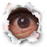 vaudor