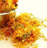 Calendula Extract Marigold Glycolic 4oz HOT  