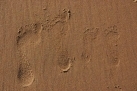 agnik1