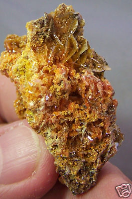 WULFENITE w/ MIMETITE, SF Mine, Mexico  