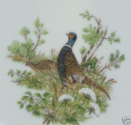 Wildlife Pheasant Bernadotte Czech Fine China Mug