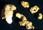 gold_tours