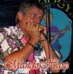 mandoharp