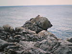 beauf49